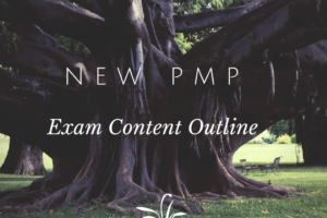 New PMP Exam Outline