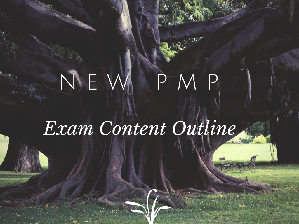 New PMP Exam Outline